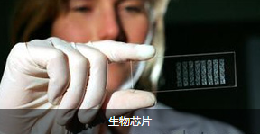 生物醫(yī)療- 血糖測試片
